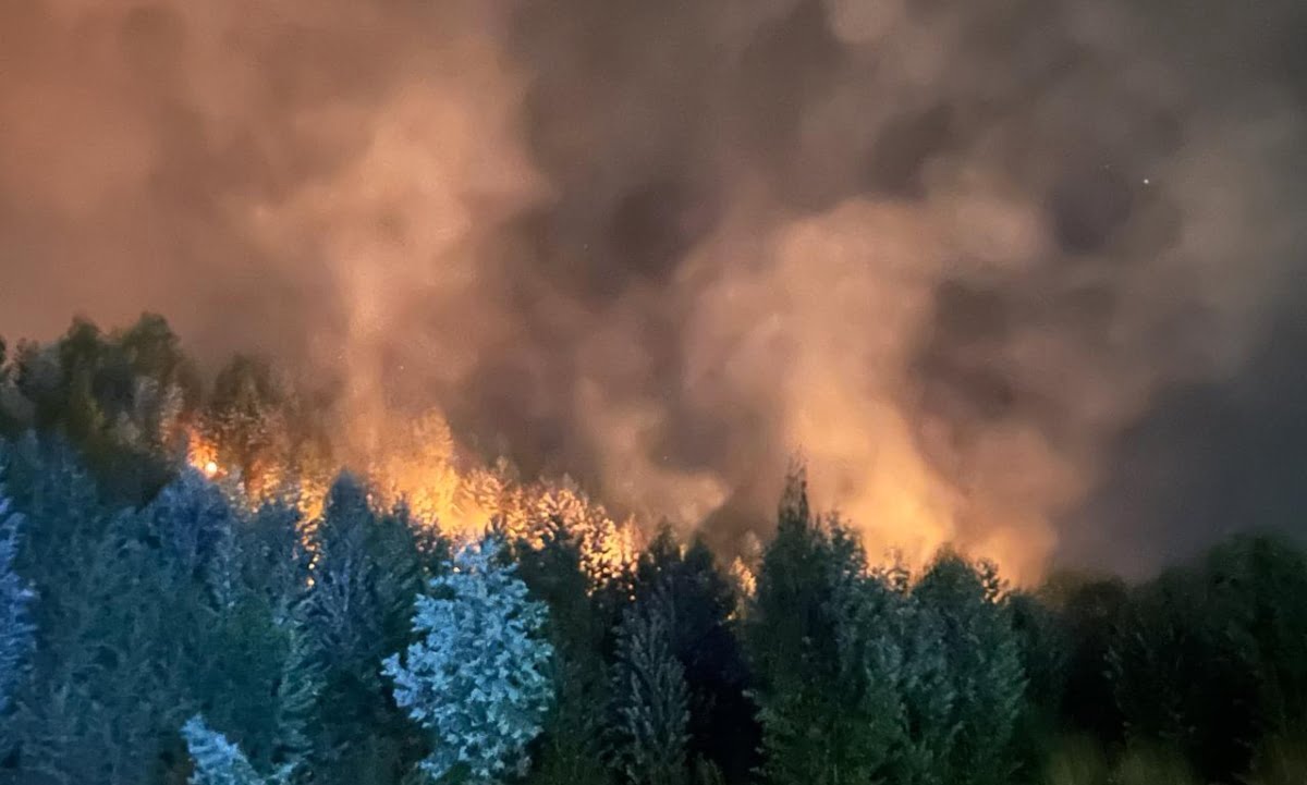 cerros incendiados en la comuna de galvarino por incendios forestales