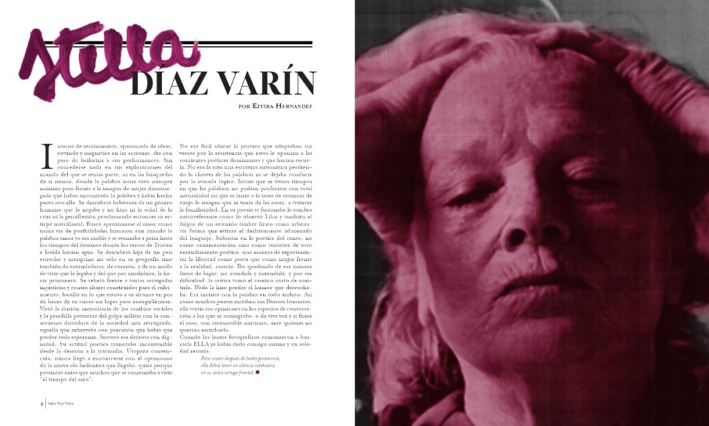 Stella Díaz Varín por Elvira Hernández: La poeta feroz retratada por la poeta que impacta 1 Stella Diaz Varin por Elvira Hernandez